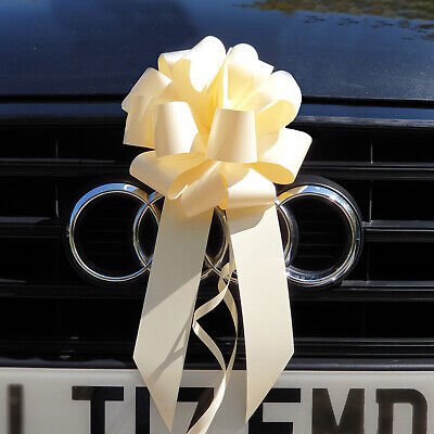 Premier Wedding Transportation Service